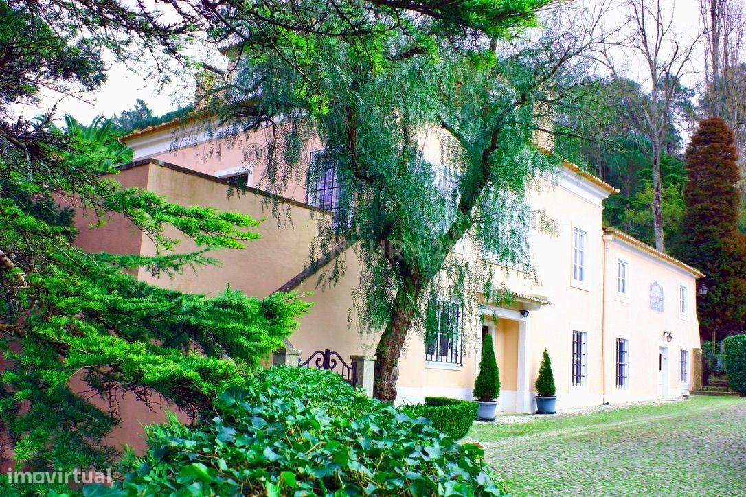 Encantadora Quinta em Sintra com 11 hectares– Uma Propriedade de Histó - Grande imagem: 4/24