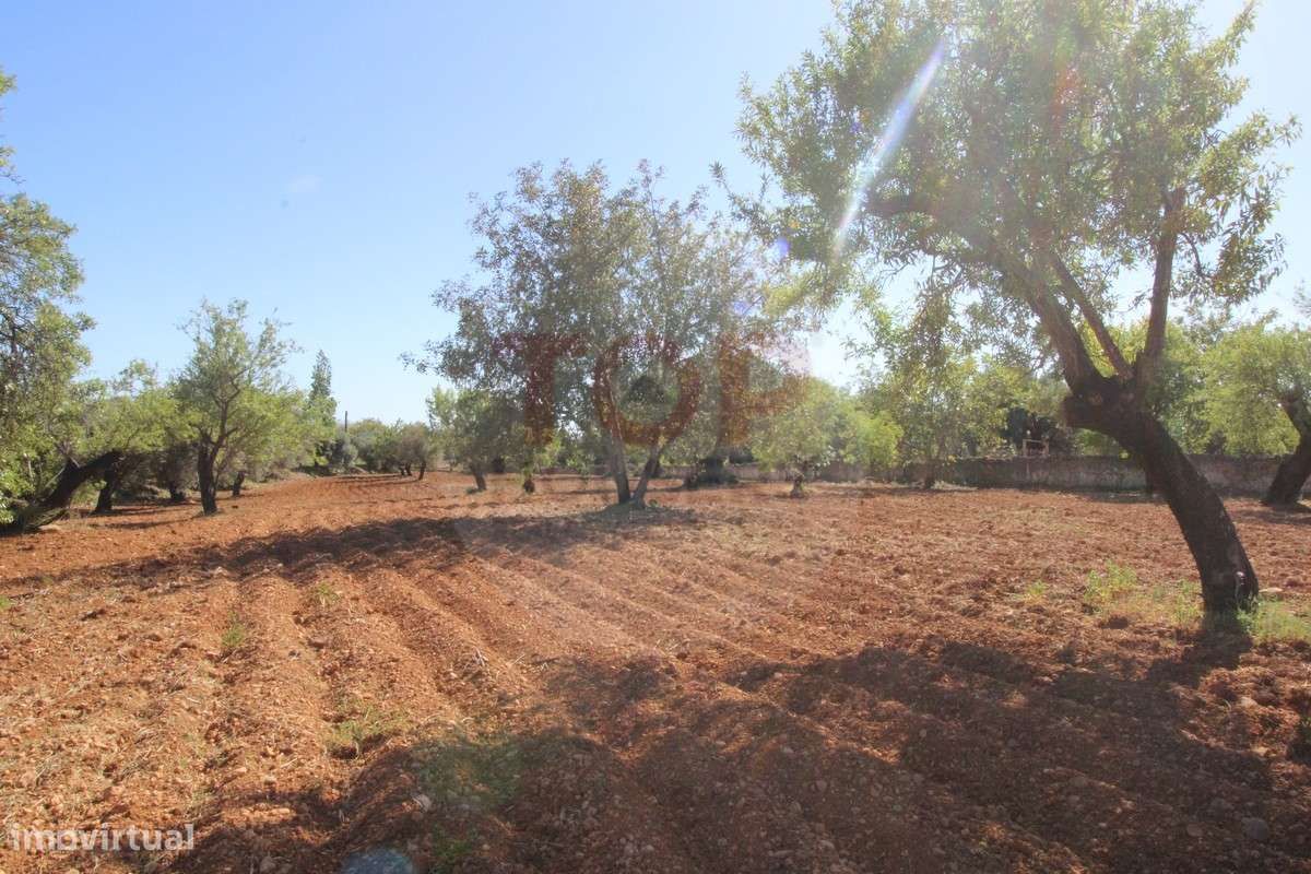 Terreno urbano destinado a construção de moradias unifamiliares - Grande imagem: 5/23