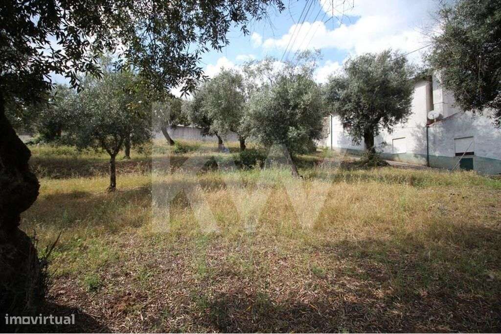 Terreno urbanizável | 710m2 | duas frentes de estrada | Brasfemes - Grande imagem: 3/9