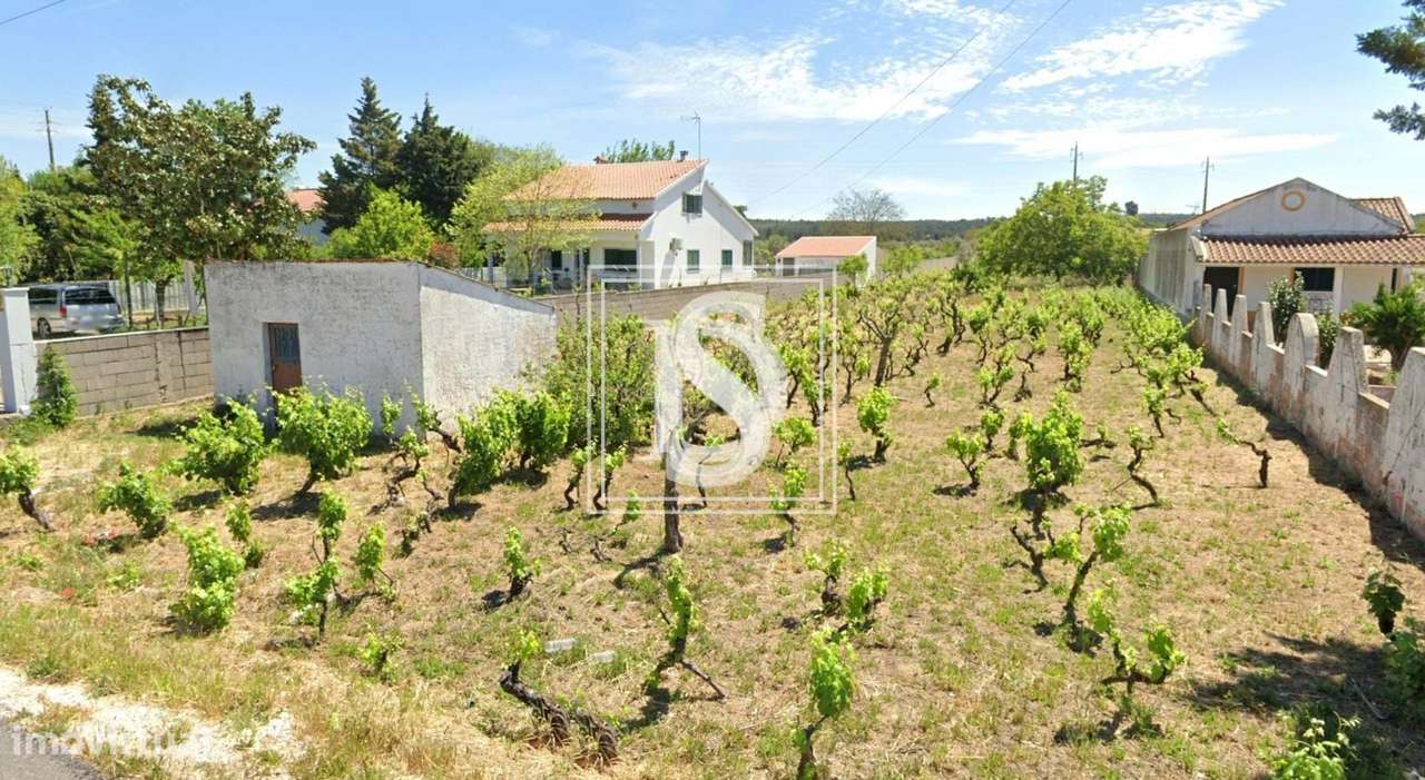 Terreno para Construção - Abrantes - Rossio - Grande imagem: 2/4