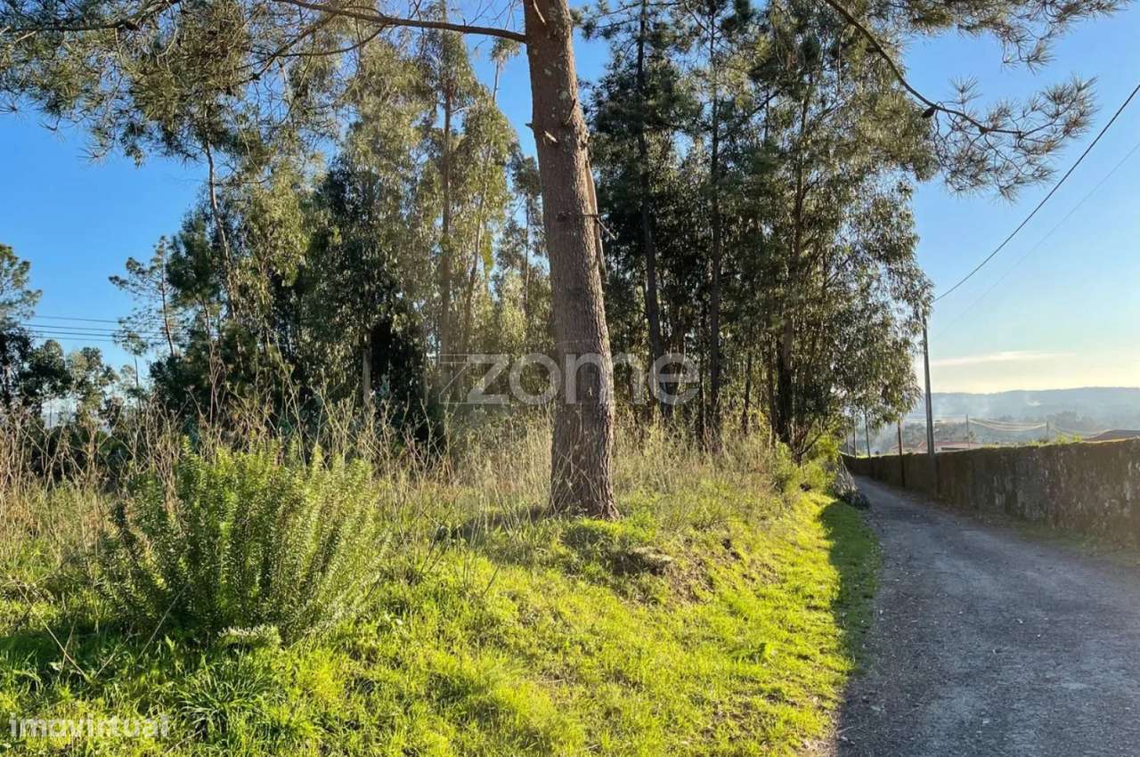Terreno Rústico Plano com 38.100m² em Vila de Punhe - Grande imagem: 5/19