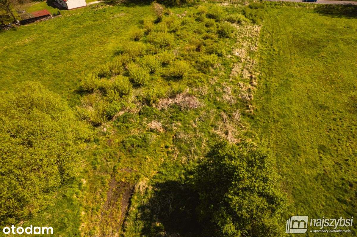 Jasienica- Dwie działki w cenie jednej - Pełny obrazek: 5/15