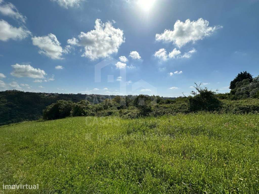 Vende Terreno - Mafra 5 km e Ericeira 10 km, A Casa das Casas - Grande imagem: 2/14