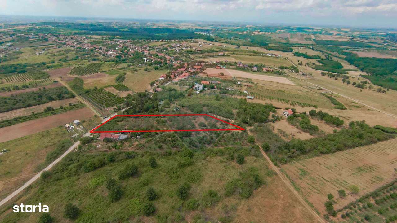 De vânzare Teren 3995mp intravilan Săldabagiu de Munte - Imagine principală: 3/10