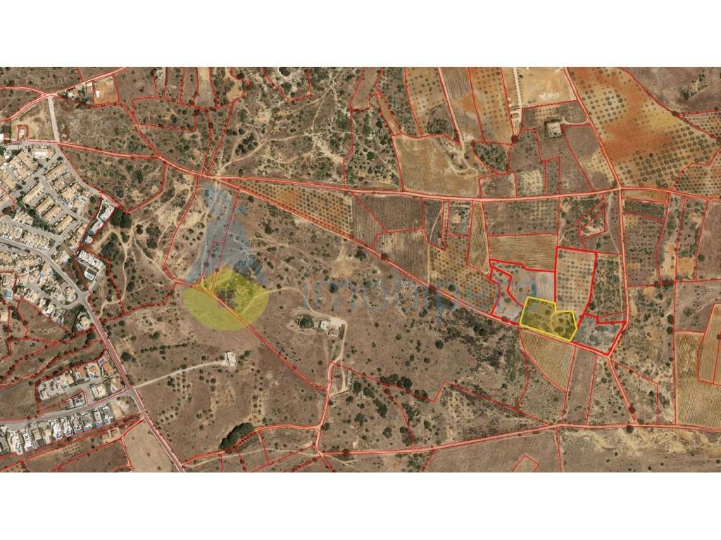 Terreno com 5.320 m2 - Vila Pêra - Sítio da Malaca - Grande imagem: 2/2