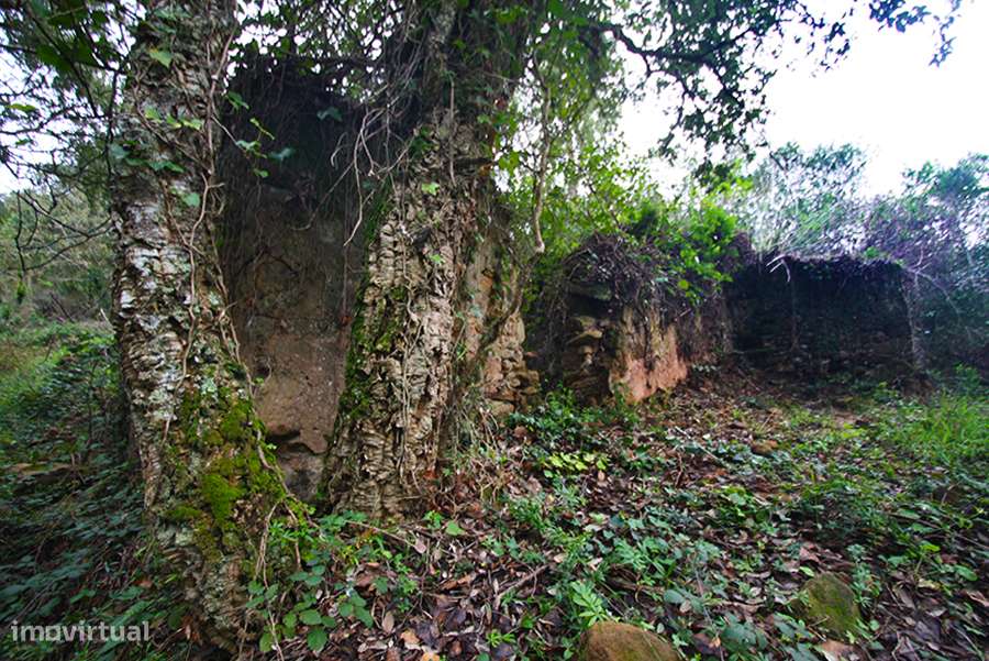 Grande propriedade, com floresta e 2 ruínas, Fraldeu, Óbidos-10