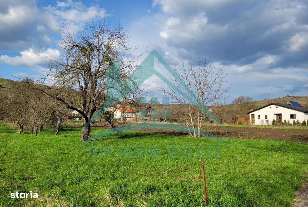 EXCLUSIVITATE! Teren intravilan de vanzare, zona linistita, sat Vlaha! - Imagine principală: 3/12