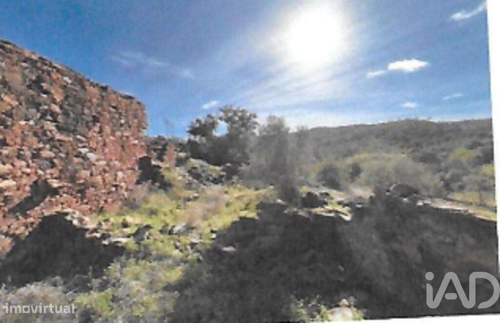 Terreno em São Brás de Alportel - Grande imagem: 4/16