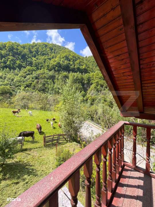 Casa de vacanta cu 4 camere, 1470 mp teren, Sugag - Imagine principală: 4/11