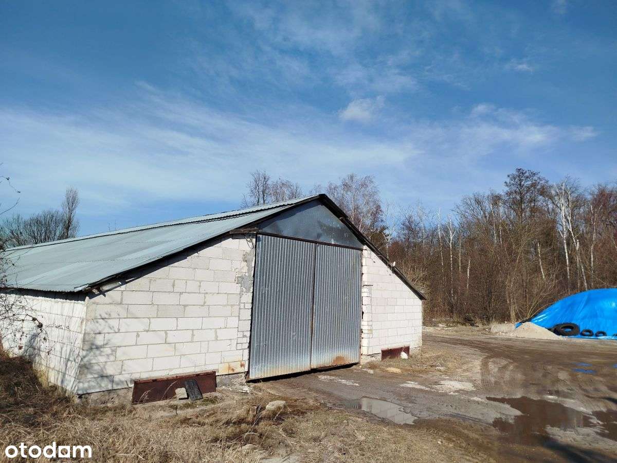 Skrzeszew, Usługi/Handel, tuż przy DW 631-6