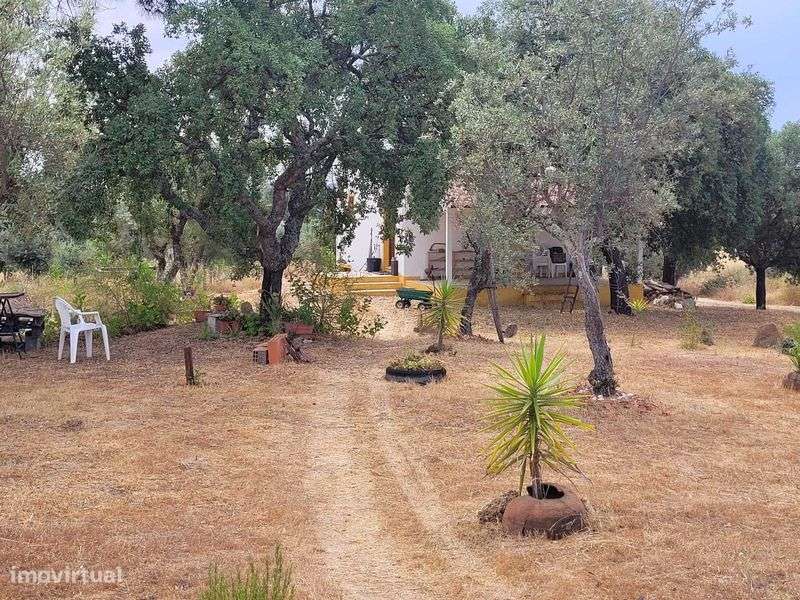 Conheça a quinta com que sempre sonhou. - Grande imagem: 5/12