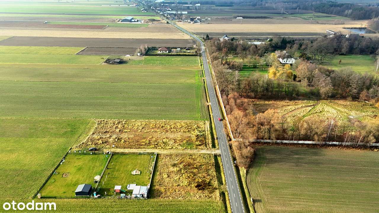 Działki budowlane 900 m2 z WZ | Trzcianna, 9 km do Skierniewic - Pełny obrazek: 5/18