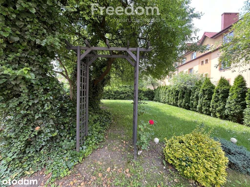 Nieruchomość inwestycyjna w centrum miasta - Pełny obrazek: 2/20