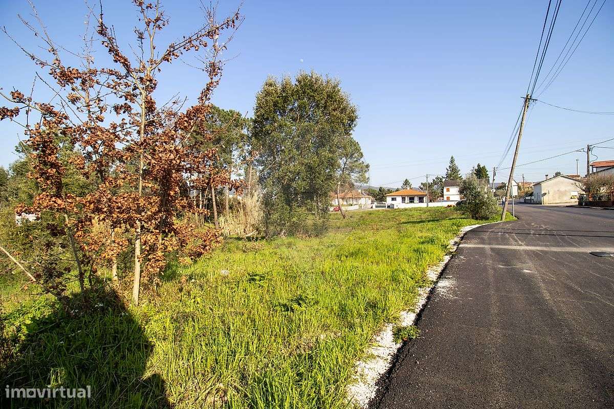 Terreno  para venda-5