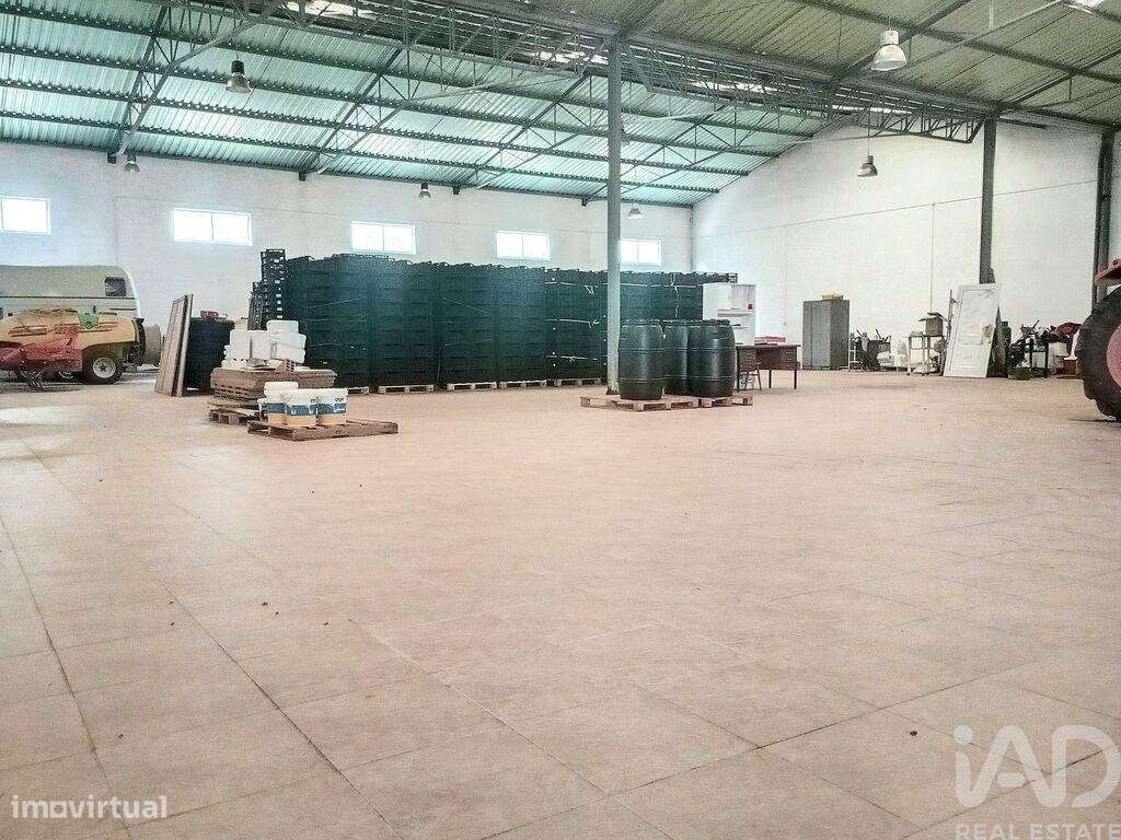 Armazém em Areias e Pias de 1200,00 m2 - Grande imagem: 3/15