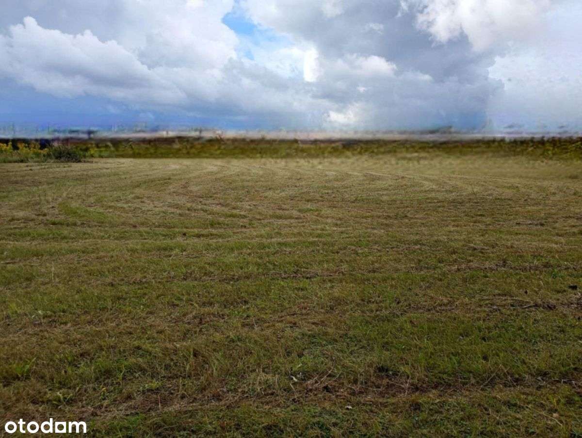 Działka z WZ Borsukówka gm. Dobrzyniewo Duże - Pełny obrazek: 3/5