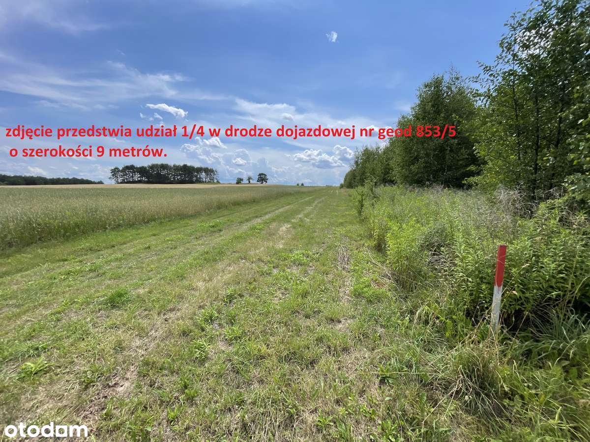 Ogrodniczki, gm. Supraśl. Zielone przedmieścia, pod inwestycję 7322 m2 - Pełny obrazek: 3/20