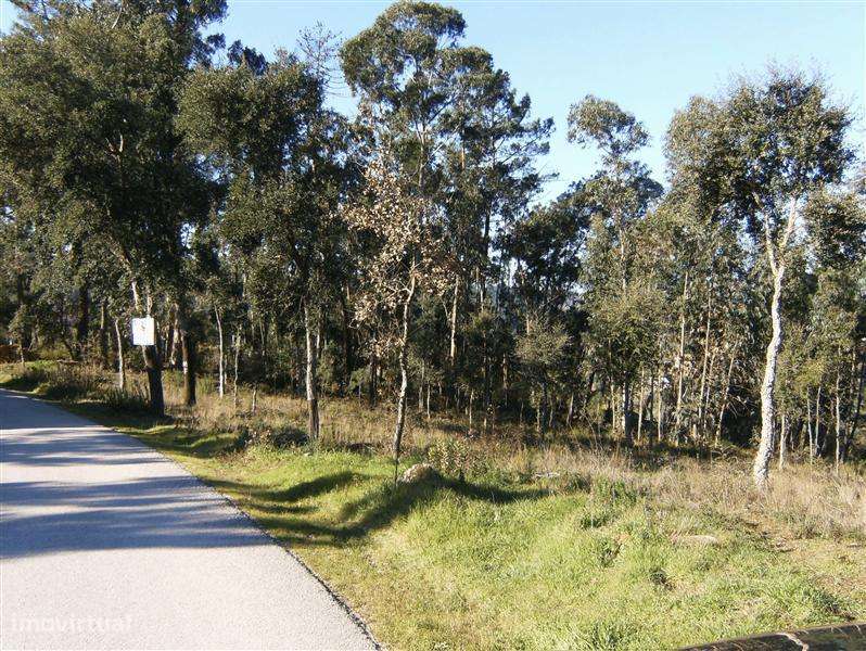 Terreno para construção, ourém - olival - Grande imagem: 2/6