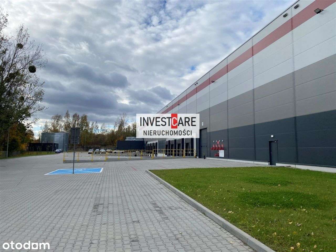 Katowice 1700 mkw Nowy - Pełny obrazek: 2/4