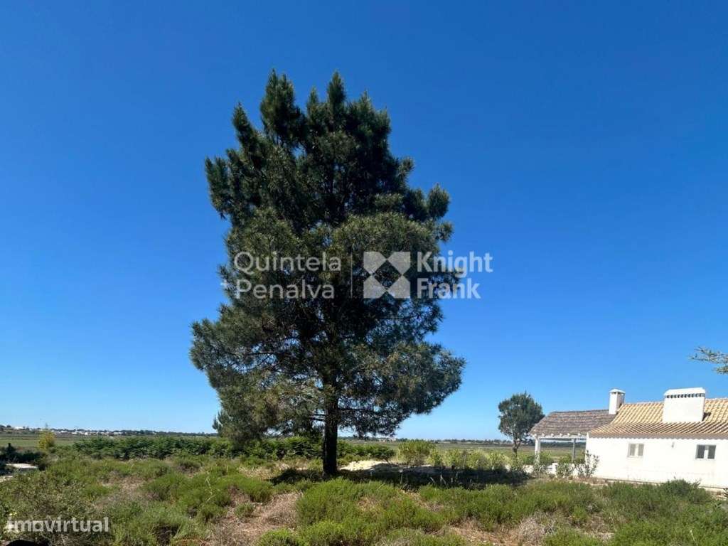 Terreno com 7618 m2 na Herdade da Comporta - Grande imagem: 4/11