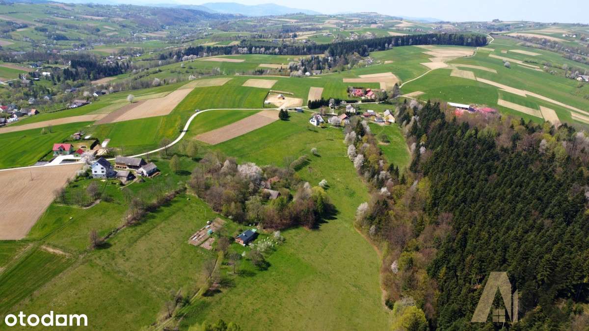 Gospodarstwo z zabudowaniami - Korzenna - Pełny obrazek: 4/11