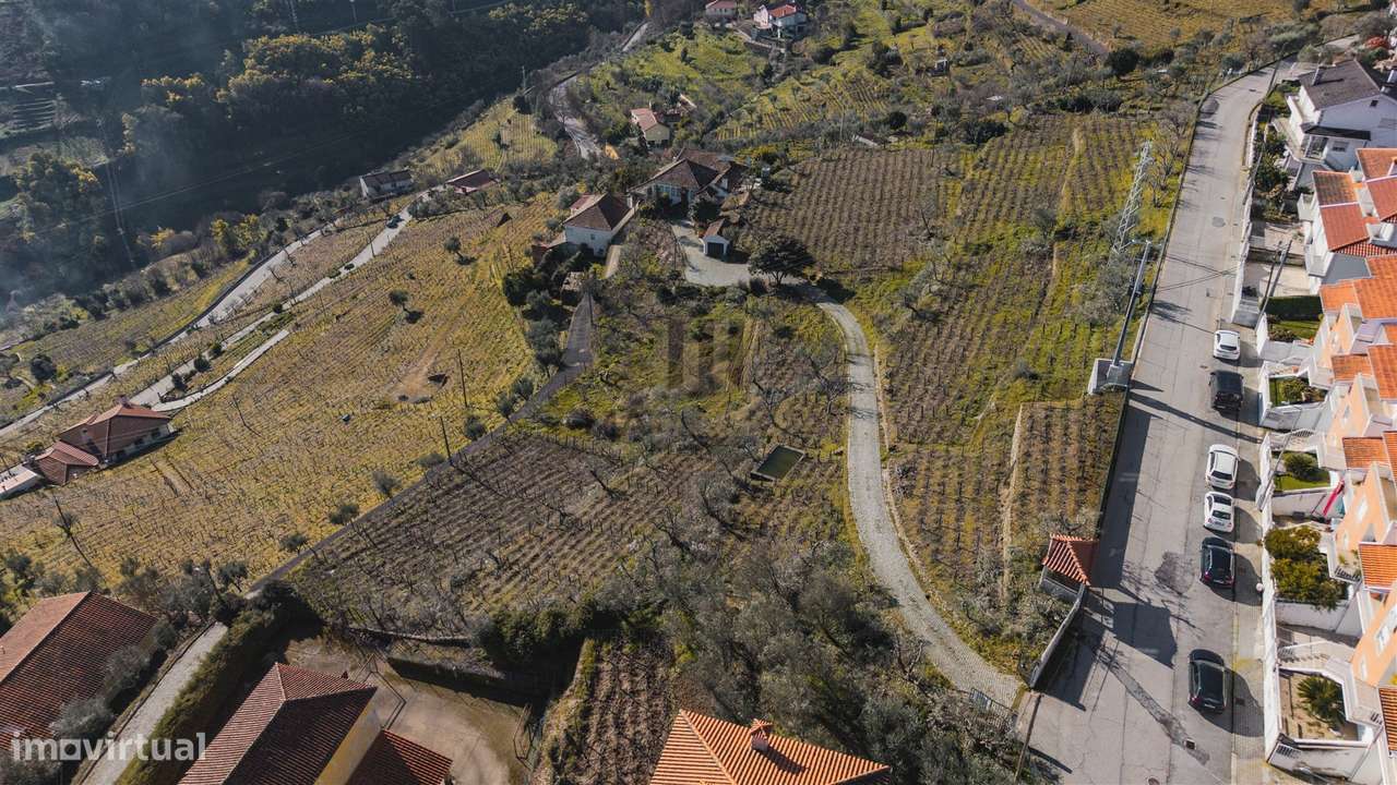 Oportunidade no Douro | Quinta com História | Lamego-13
