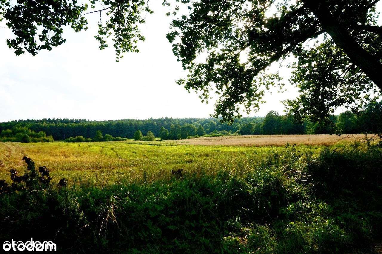 Działki z wydanym warunkami zabudowy - Pełny obrazek: 4/5