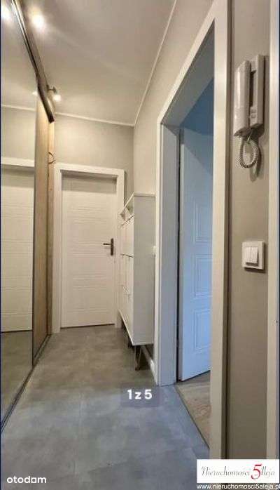 Jeżyce ul Kassyusza 2 pokoje cegła po remoncie