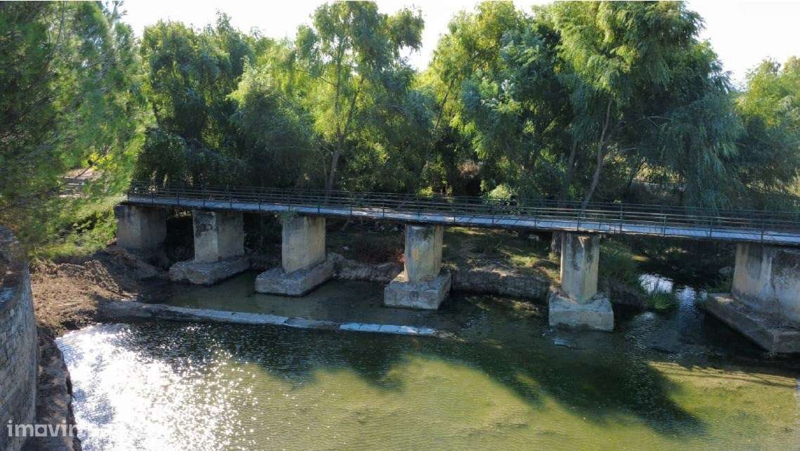 Quinta Rural - Torres Novas - Junto ao Rio Almonda-13