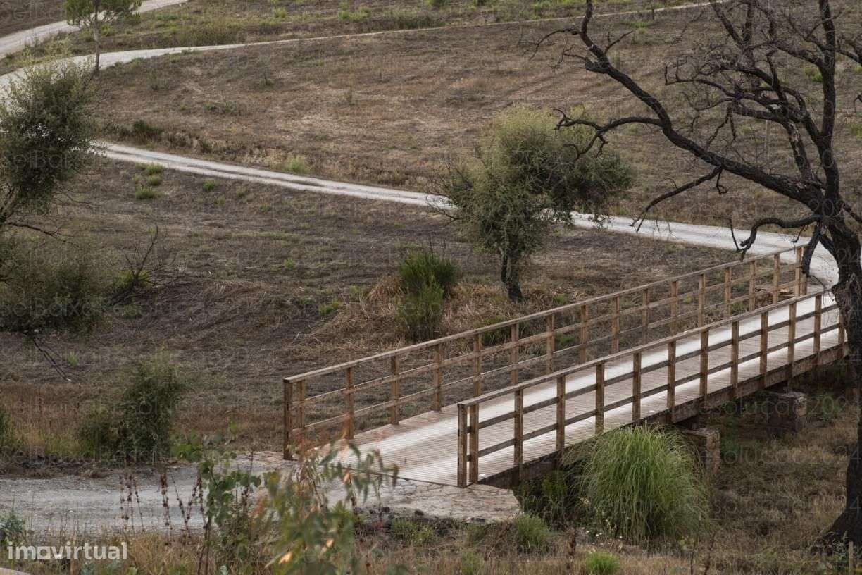 Quinta 7.5 ha, São Teotónio, Odemira-41