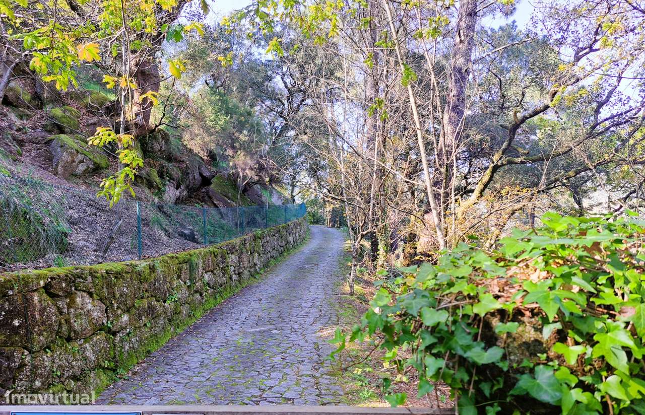 Parque Nacional da Peneda-Gerês, 4 Casas. - Grande imagem: 3/60