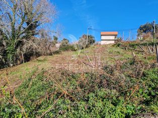Lote Urbano 1.981 m - Grande imagem: 2/22