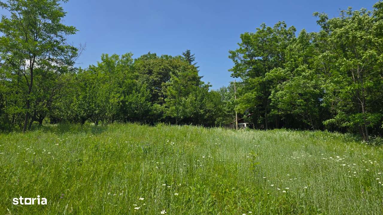 Teren de vânzare – 6.352 mp – Slavu (Prahova), cu vedere superbă - Imagine principală: 3/7