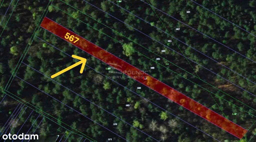 6 działek leśnych – Gertrudów, gm. Gomunice - Pełny obrazek: 5/6