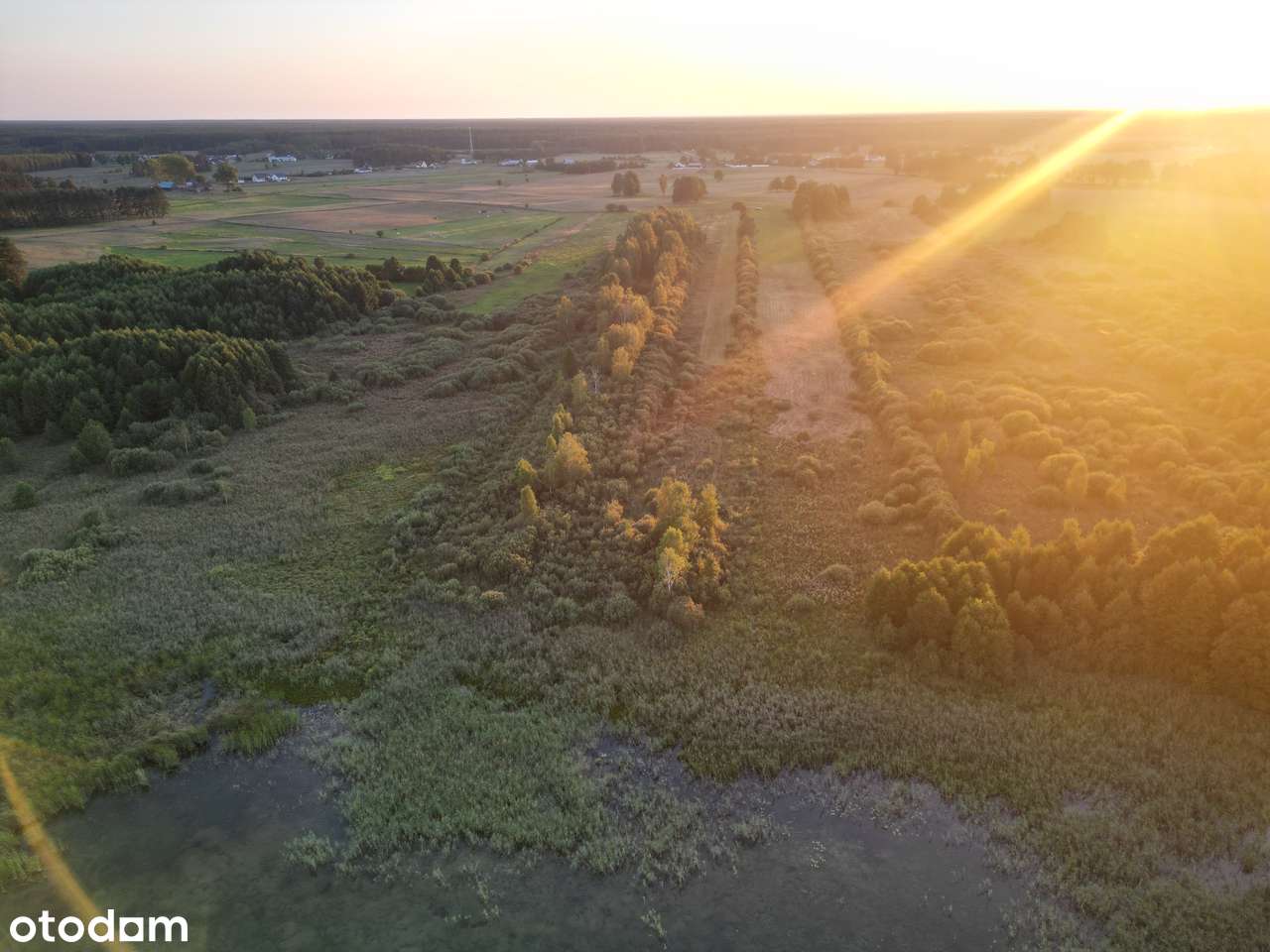 Działka nad wodą - Dalny Las . Jezioro SERWY linia brzegowa . RARYTAS - Pełny obrazek: 4/18