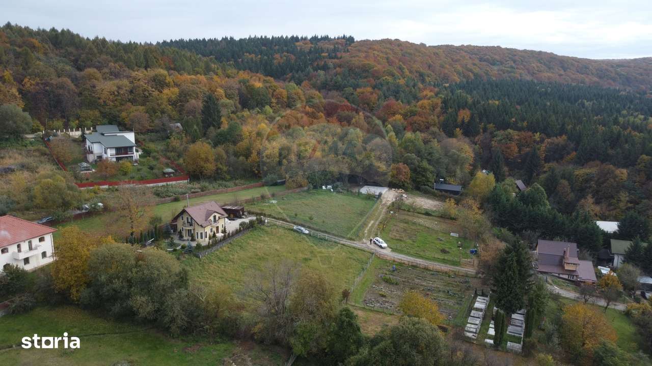 Teren de vanzare în Faget 1542 mp cu panorama-5