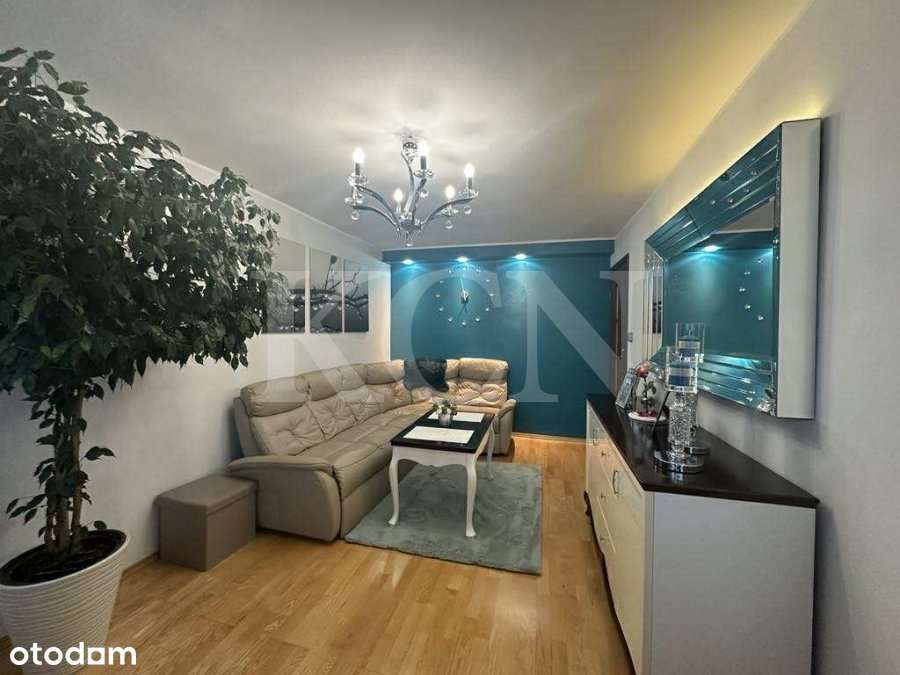 Komfortowe mieszkanie do wynajęcia - Pełny obrazek: 4/9