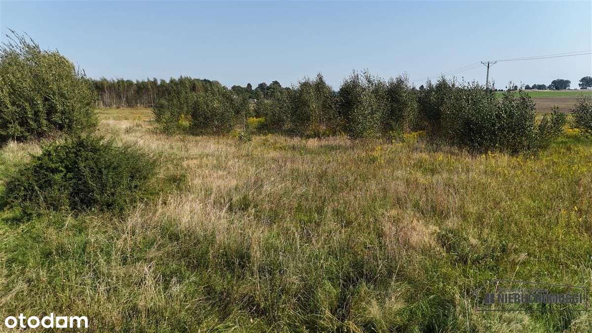 Bielikowo - działka na raty - około 20 minut od Ba-13