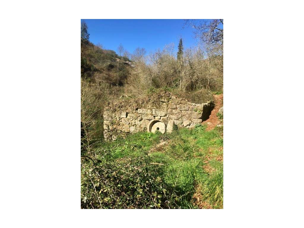 Moinhos Para Recuperar OPORTUNIDADE-6