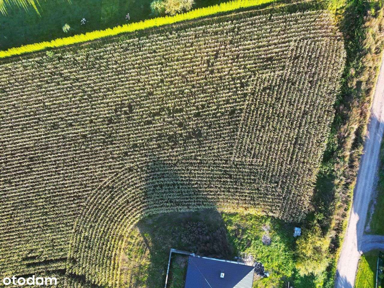 Działki przy Rezerwacie Przyrody-9