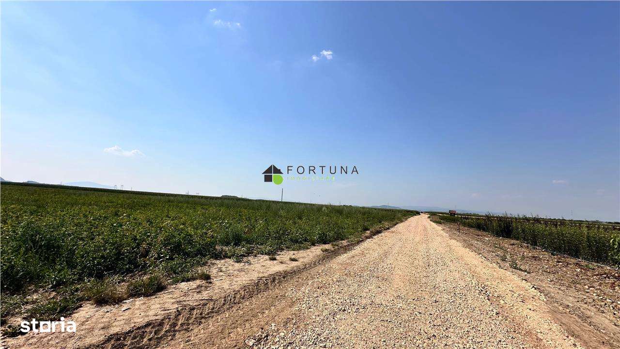 Teren extravilan 13200 mp.zona de case Sacele pretabil investitie!! - Imagine principală: 2/11