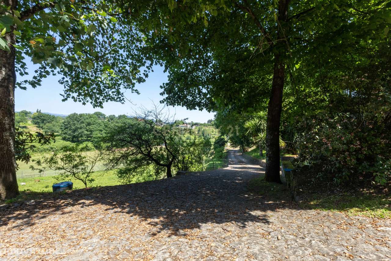 Quinta de Luxo de Vinho e Natureza com Potencial de Expansão perto do-36