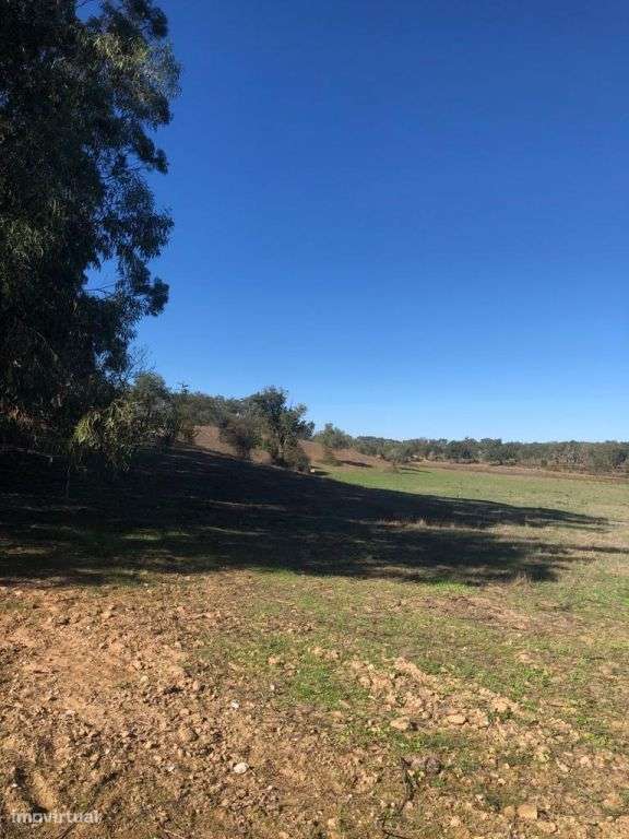 Terreno Rústico 14.0 ha, Cercal do Alentejo, Santiago do Cacem - Grande imagem: 5/32