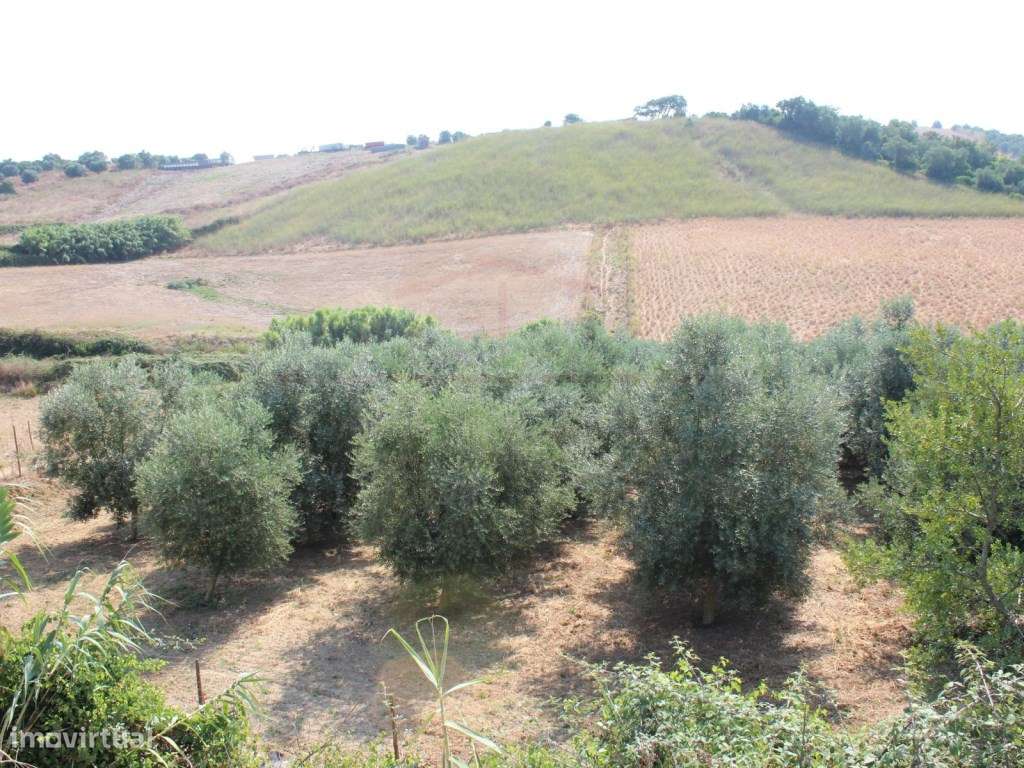 Casa de Campo, terreno, vista panorâmica concelho Rio Maior-34