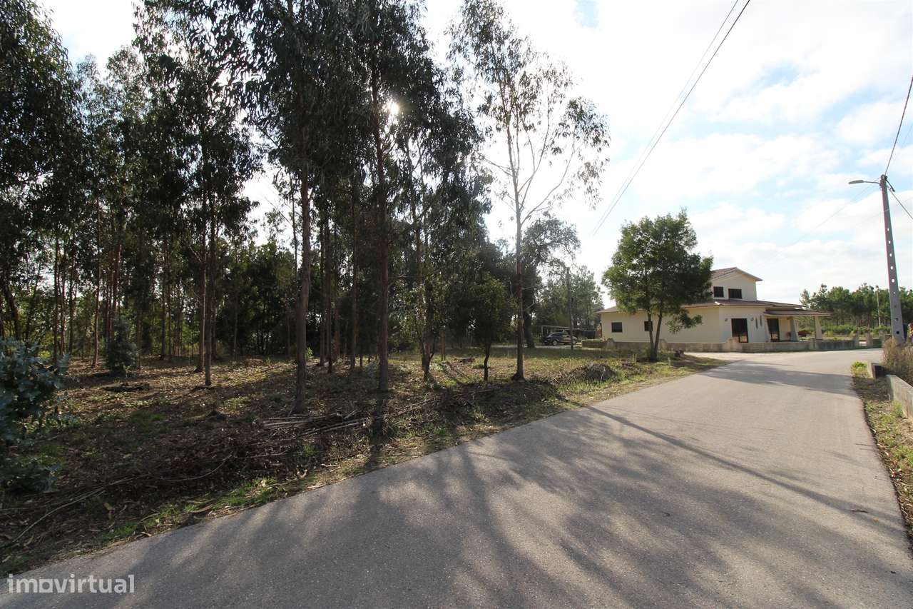Terreno / Carvide / Leiria - Grande imagem: 5/5