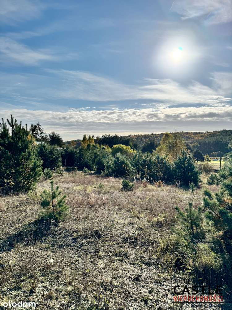 Świetna kształtna działka. Wszędzie dojdziesz piechotą. Dobra oferta - Pełny obrazek: 5/11