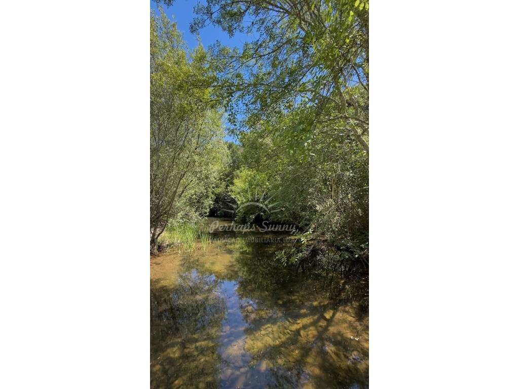 Propriedade Rústica de Montado com Ribeira | 22,6 Hectares | Serra ...-24