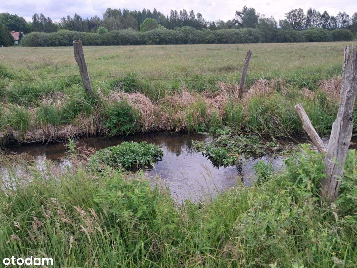 Działka pod rekreację i lokatę-3