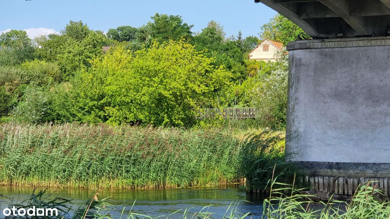 Na sprzedaż winnica + działka inwestycyjna hotel gastronomia Uniejów-10