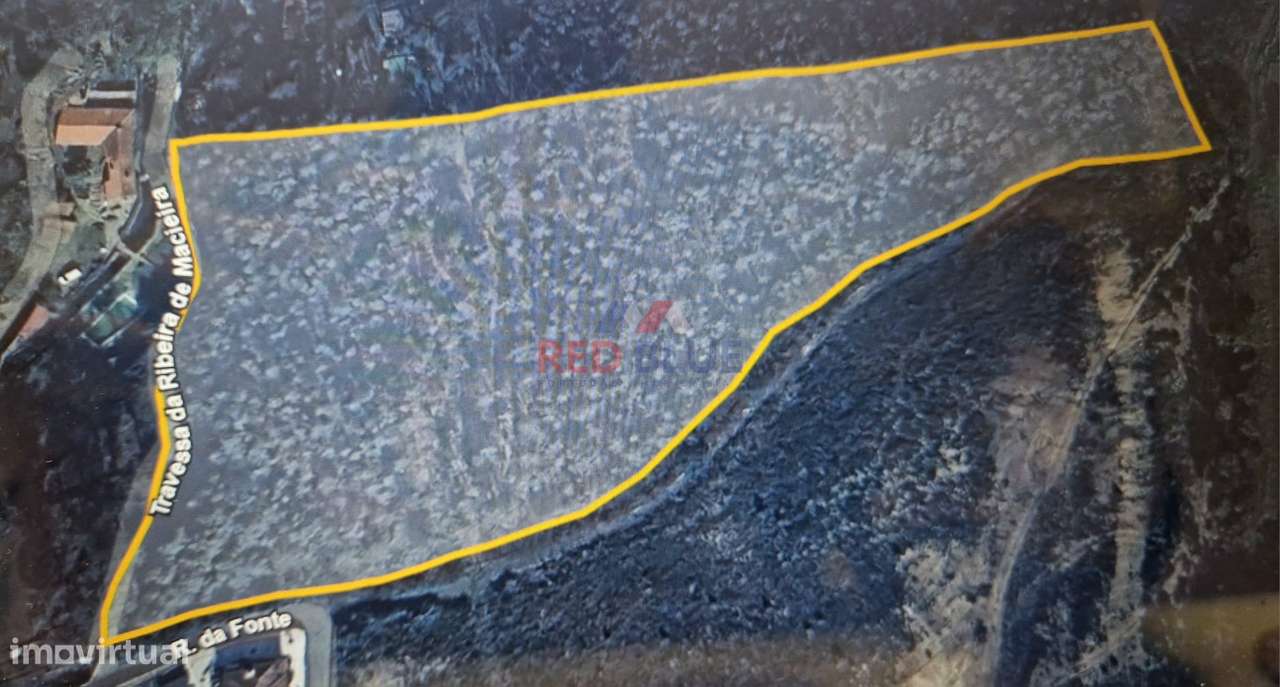 TERRENO, ZONA FLORESTAL, MACIEIRA DA MAIA, VILA DO CONDE - Grande imagem: 5/5